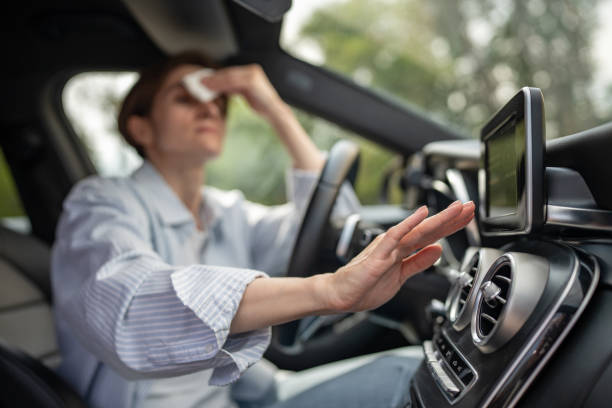 Best Thermostats and Smart Controls in Guyton, GA